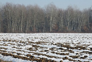 Нецелевое использование грозит изъятием: новшества в земельном законодательстве